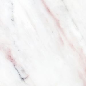 Meet your Posher, Gabby